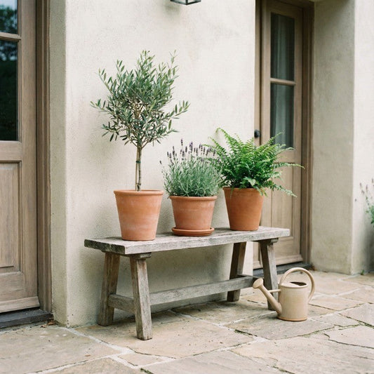 Minimal outdoor gardening scene with potted plants on a bench, capturing gardening as a calm and enjoyable everyday hobby