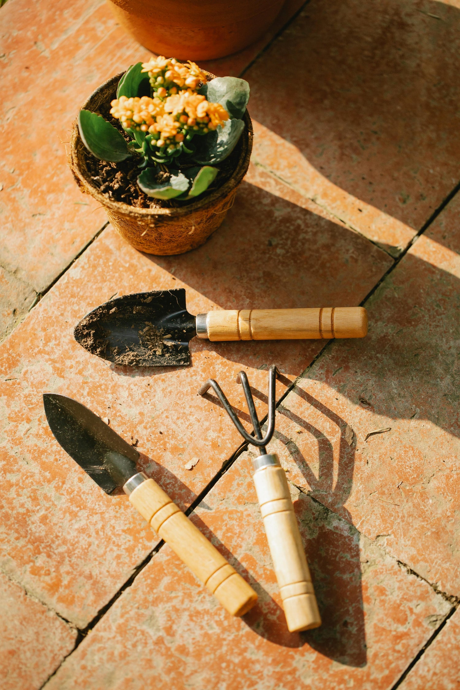 wood-handled garden hand tools and trowels on terracotta tiles, essential gardening accessories for home planting and indoor or outdoor care