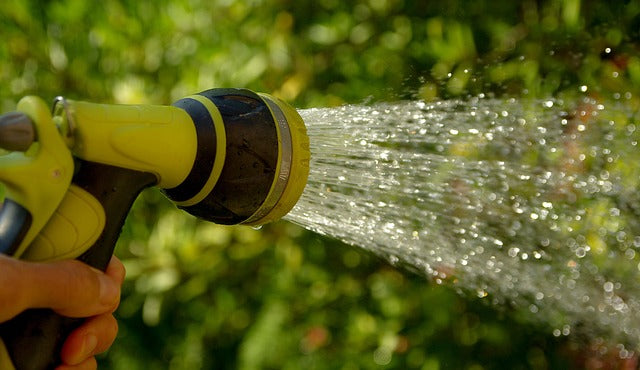 hand-held garden hose nozzle spraying water onto plants, effective watering and irrigation tool for easy home gardening