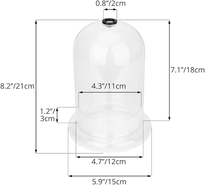 NCYP Glass Dome Cloche with Base and Air Hole - 5.9 x 5.9 x 8.2 Inches Indoor Tabletop Display Terrarium for Plant, Flower - Home Modern Decoration, Clear (No Plants)