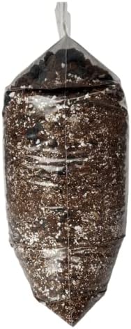 rePotme Philodendron and Aroid Imperial Houseplant Potting Soil Mix - Junior Bag (4 Quarts)