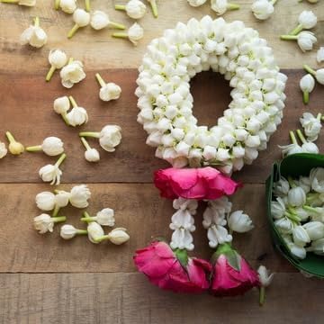 Arabian Jasmine (Jasminum Sambac) - Live, Fragrant, Blooming, Indoor/Outdoor Decorative Plant (4 Arab jas sacs)