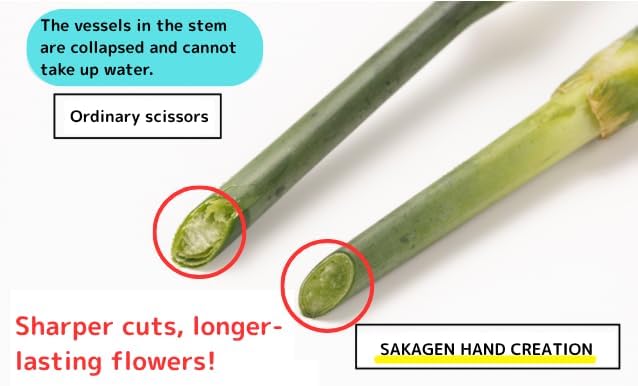 Japanese Florist Scissors – Professional Ultra Sharp Flower Shears Made in JAPAN for Ikebana Floral Design & Gardening SAKAGEN HAND CREATION F-170 (Light Green)