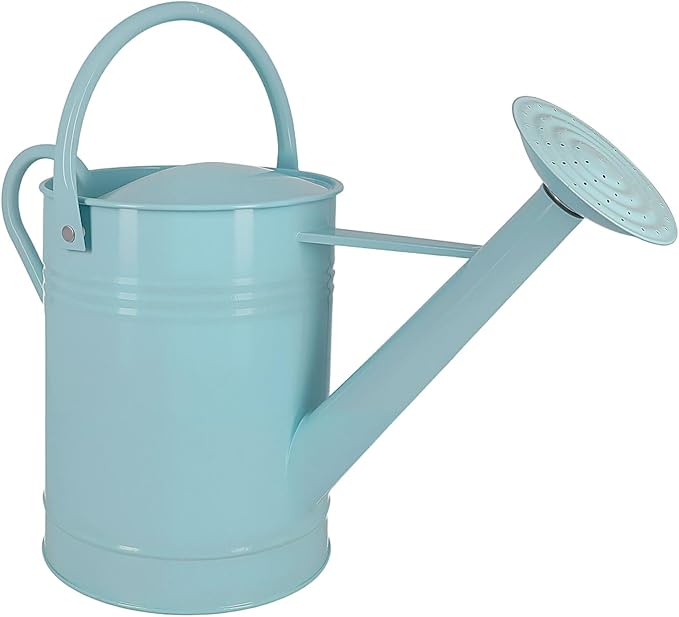 Galvanized Iron Watering Can for Indoor Plants, DIY Watering Cans for House Plant Garden Flower, Long Spout Water Can for Outdoor Watering Plants 6.44L 1.7 Gallon (Blue)