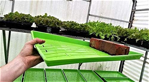 Bootstrap Farmer Microgreen 1020 Trays, Purple 10 Pack, Extra Strength with Holes Shallow Seed Plant Tray Grow Microgreens Wheatgrass Fodder Sprouting