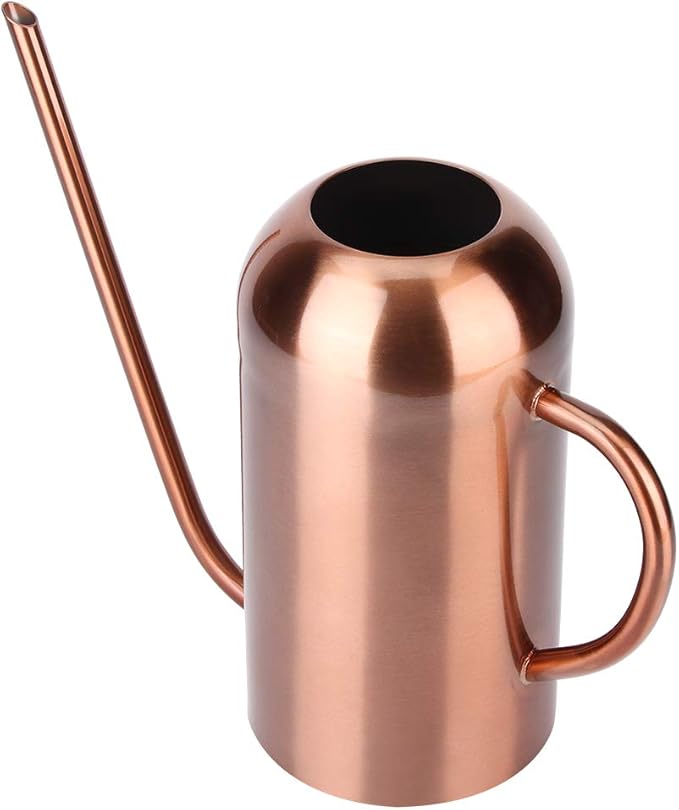 Stainless Steel Watering Can, 1.5L/53oz Small Watering Can Indoor Plants with Long Spout Outdoor Watering Can Pot Modern Style Plant Watering Can for Garden Flower Decorative