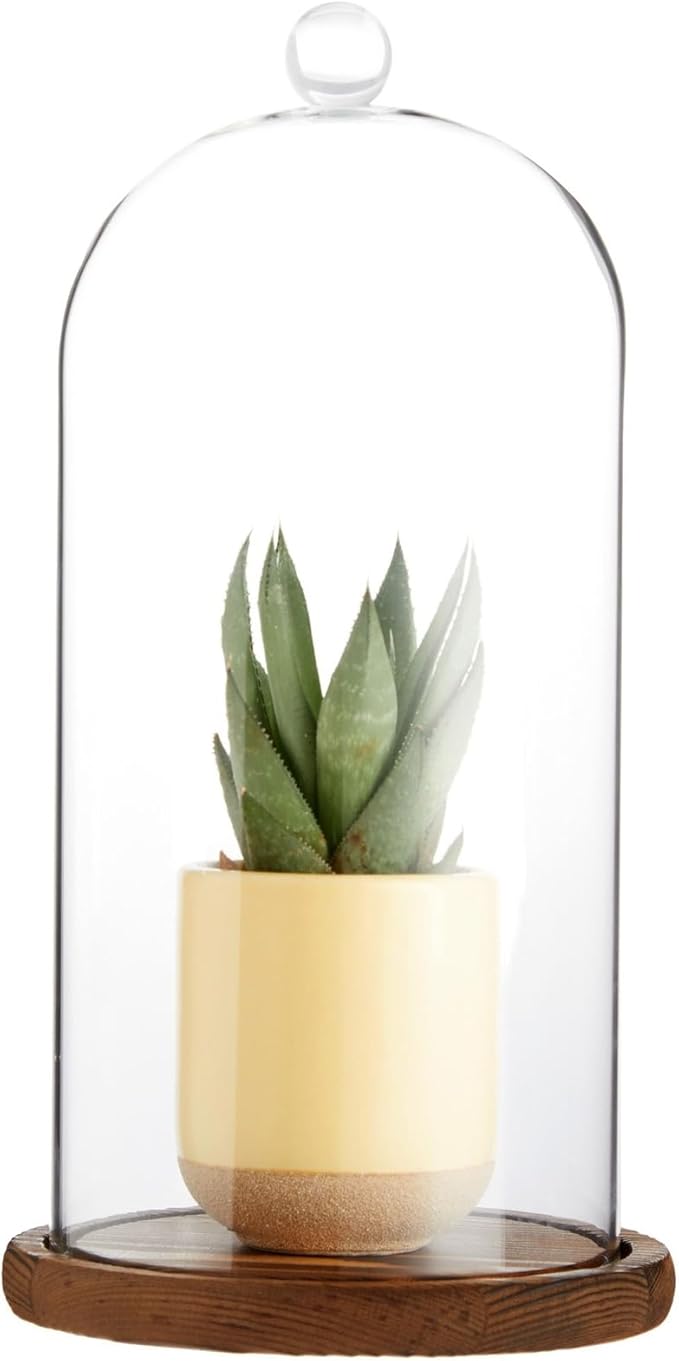 Farmlyn Creek Glass Dome Cloche Display Case - 5.1 x 5.1 x 10 in, Clear Dome & Wood Base - Cloche & Glass Cover - Succulent & Collectible Display
