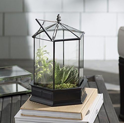 H Potter Glass Terrarium Succulent Planter Wardian Case Plant Container Six Sided WAR151