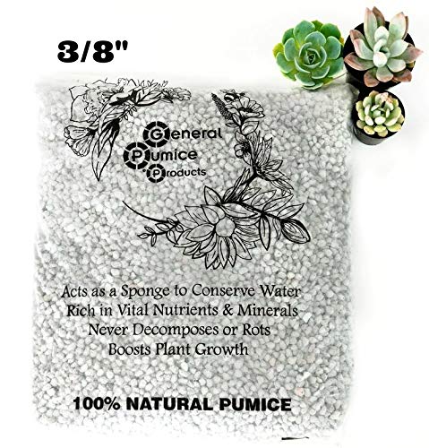 3 Gallon Bag Garden Pumice (3/8" Stone) - 12lb