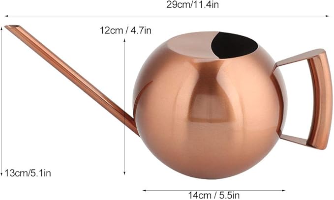 Watering Can, Stainless Steel Long Spout Watering Pot with Ergonomic Handle 1L for Indoor Outdoor Plants Flowers Succulents