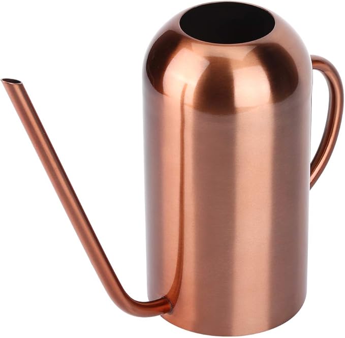Stainless Steel Watering Can, 1.5L/53oz Small Watering Can Indoor Plants with Long Spout Outdoor Watering Can Pot Modern Style Plant Watering Can for Garden Flower Decorative