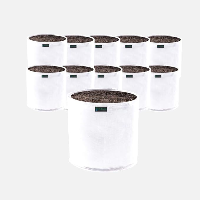 Commercial Grow Bag Pack of 10, Air Pruning Mesh Fabric Plant Containers (2 Gallon, White)
