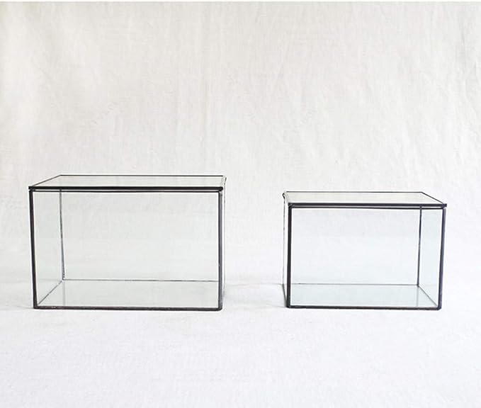 Glass Plants Terrarium with Lid,Rectangle Black Pot Box for Indoor Plants,Geometric Clear Containers for Moss and Succulent,Tabletop Decor DIY Gift,8.3”L x 4.7”W x 5.5”H