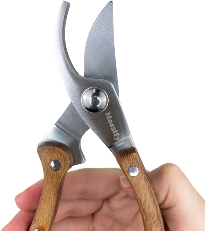 Mossify Garden Shears 8” – Premium Stainless Steel Pruning Shears for Gardening with Wooden Handle – Hand Pruners, Plant Clippers & Garden Scissors – Sharp Garden Tool for Left & Right Hand Use