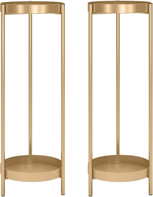 2 Tier Metal Flower Plants Holder with 2 Removable Display for Indoor or Outdoor,Pot Plant Planter Display (Gold 2P)