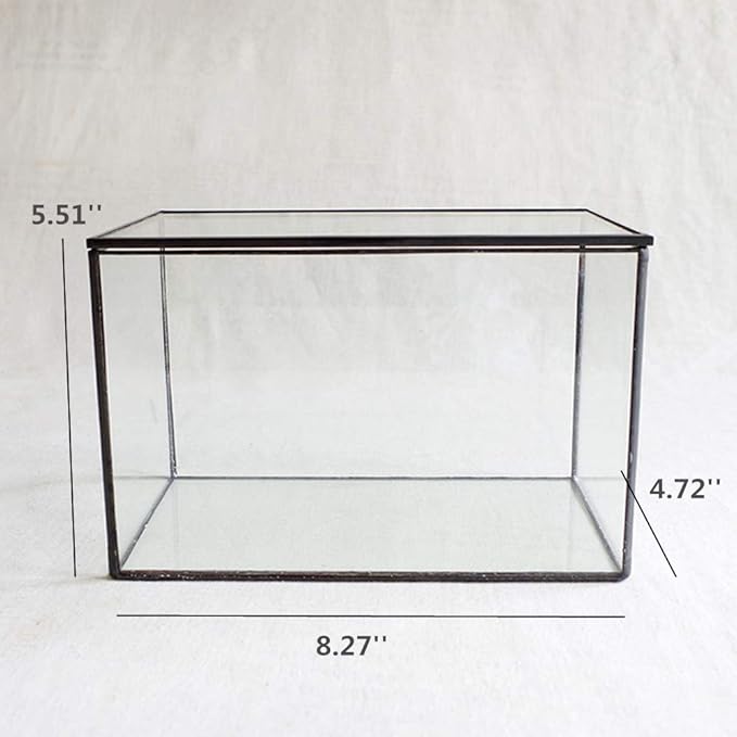 Glass Plants Terrarium with Lid,Rectangle Black Pot Box for Indoor Plants,Geometric Clear Containers for Moss and Succulent,Tabletop Decor DIY Gift,8.3”L x 4.7”W x 5.5”H