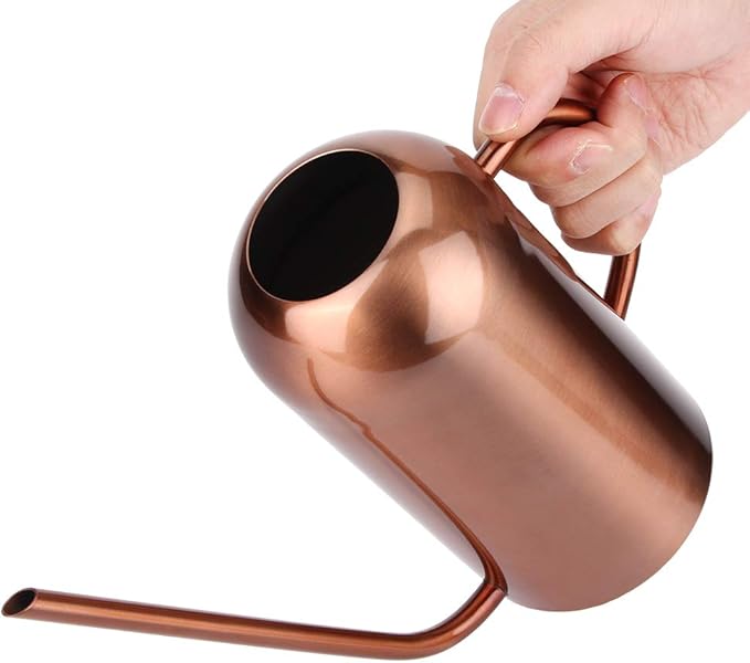 Stainless Steel Watering Can, 1.5L/53oz Small Watering Can Indoor Plants with Long Spout Outdoor Watering Can Pot Modern Style Plant Watering Can for Garden Flower Decorative