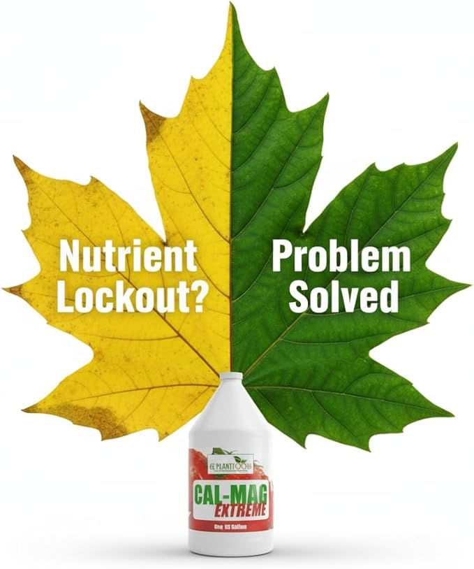 GS Plant Foods Cal-Mag Extreme Liquid 1 Gallon Fertilizer with Calcium, Magnesium, Iron and Sulfur Supplement, Corrects Secondary Nutrient & Trace Element Deficiencies, N-P-K of 2-0-0