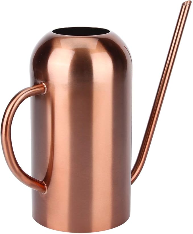 Stainless Steel Watering Can, 1.5L/53oz Small Watering Can Indoor Plants with Long Spout Outdoor Watering Can Pot Modern Style Plant Watering Can for Garden Flower Decorative