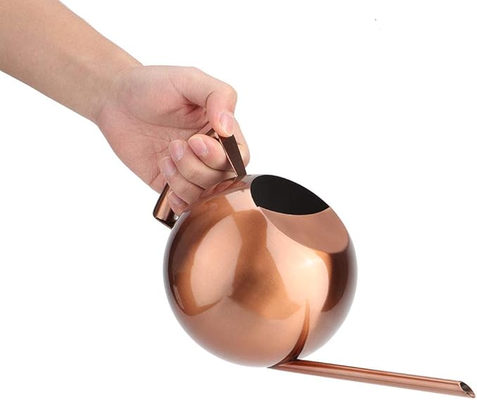 Watering Can, Stainless Steel Long Spout Watering Pot with Ergonomic Handle 1L for Indoor Outdoor Plants Flowers Succulents