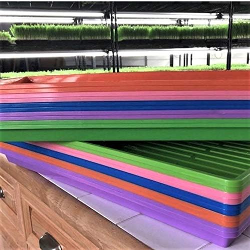 Bootstrap Farmer Microgreen 1020 Trays, Green 30 Pack, Extra Strength with Holes Shallow Seed Plant Tray Grow Microgreens Wheatgrass Fodder Sprouting