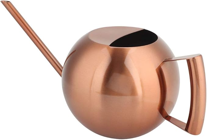 Watering Can, Stainless Steel Long Spout Watering Pot with Ergonomic Handle 1L for Indoor Outdoor Plants Flowers Succulents