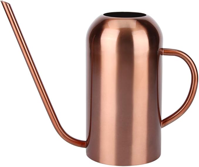 Stainless Steel Watering Can, 1.5L/53oz Small Watering Can Indoor Plants with Long Spout Outdoor Watering Can Pot Modern Style Plant Watering Can for Garden Flower Decorative