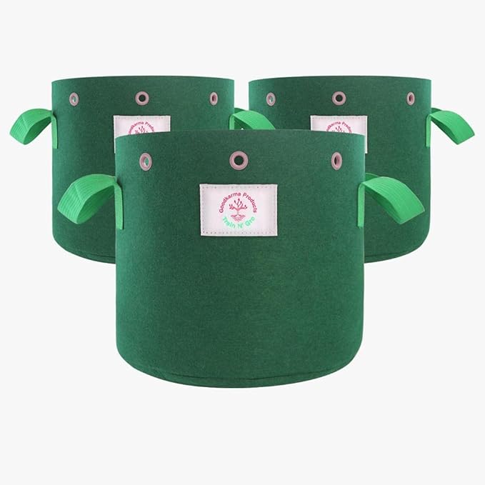 Train N' GRO - 5 Gallon Sustainable Aeration Non-Woven Grow Bags w Low Stress Training Holes - 3 Pack, for Grow Tent / Indoor / Outdoor. Superior Drainage + Breathability for Plants Vegetables + Fruit