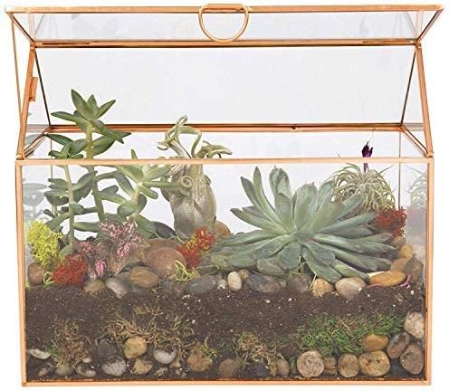 D'Eco Glass House Centerpiece (10"x6"x8") - Tabletop Planter Terrarium for Home Decor & Wedding Letterbox - Fill w/Succulents, Holiday Decorations, Mini Trees & Ornaments - Xmas Gift for Plant Lovers
