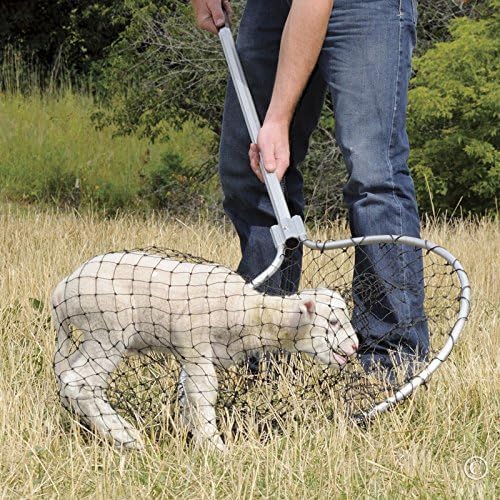 Premier EZ Catch Net (37"- 57" Handle with 23" Net Opening & Teardrop Mesh)