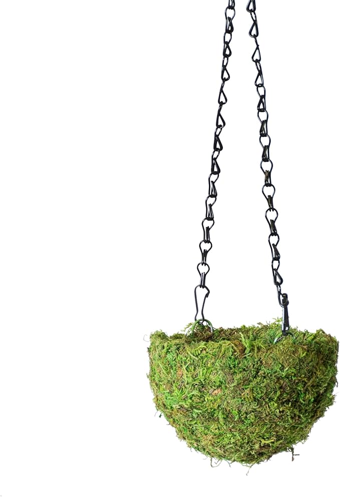 SuperMoss MossWeave (29270) Mini Hanging Basket Set of 4, Fresh Green