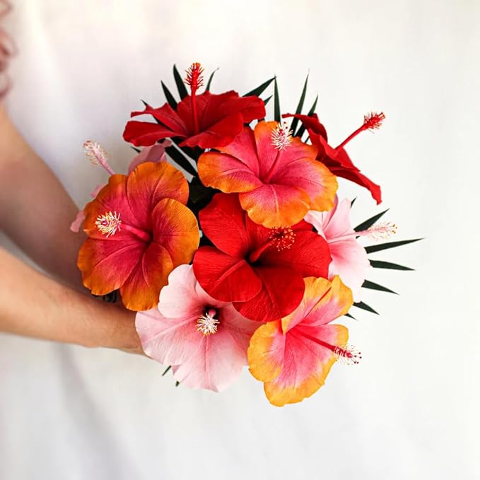 Red Hibiscus. rosa-sinensis. Live Plant - Tropical Blooming Hibiscus, Pretty Flowers, Used in Tea and Juice (4 red Hibiscus Cups)