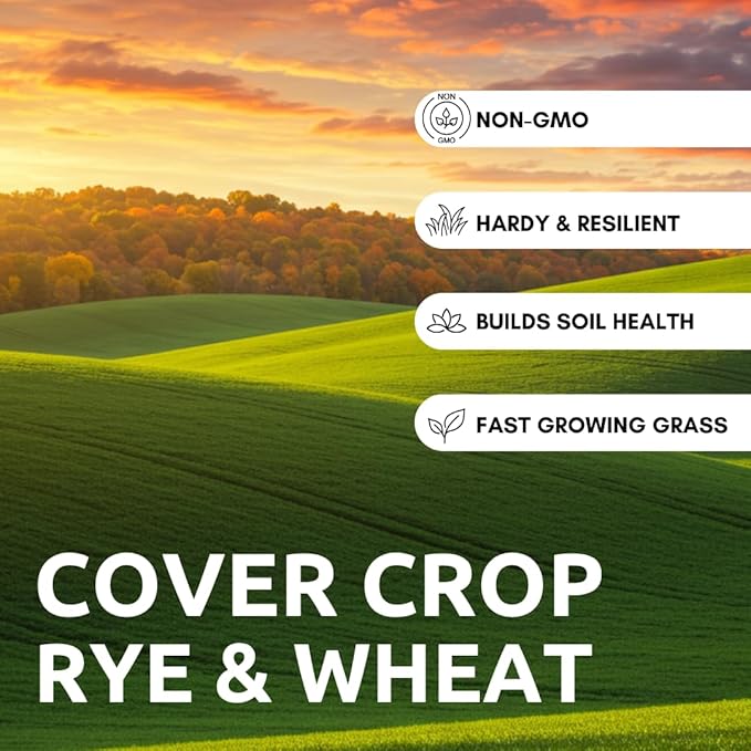 Over Winter Cover Crop Blend - Rye and Wheat Blend - Great for Adding Nutrients, Weed Supression and Building Soil (25 Pounds)