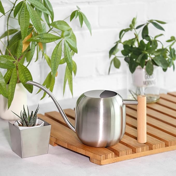 Small Watering Can Indoor Plants, 40oz/1.2L Garden Watering Can, House Plant Watering Can Cute Watering Pot with Long Spout for Indoor House Plants Bonsai Outdoor Garden Flower Decorative