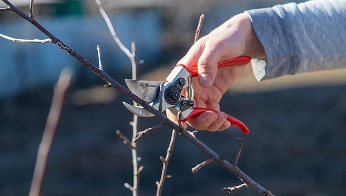 – Professional Bypass Hand Pruning Shears – Durable, Heavy Duty, Landscaping Secateurs/Scissors/Clippers-Trim your Garden, Rose Bushes, Gardenias and Outdoor Hedges