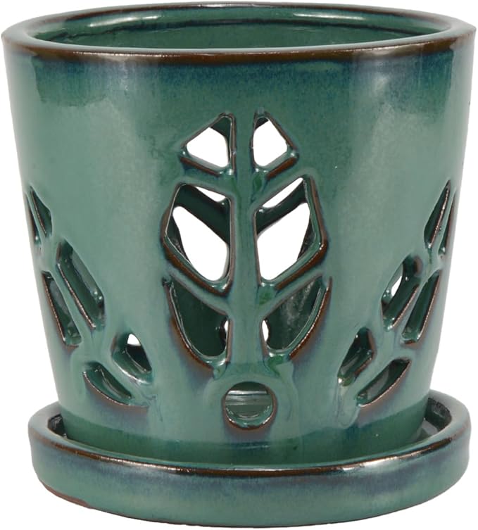 W&W Orchid Pot with Holes and Saucer for Repotting, 5.5 Inches, Grenn