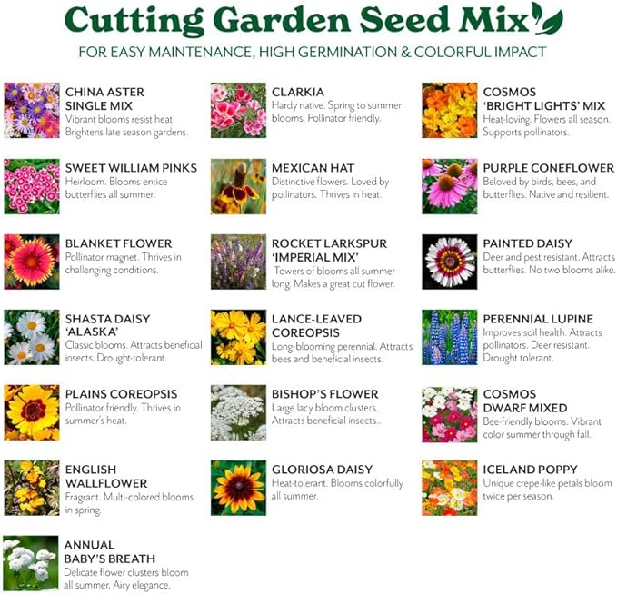 Grow Your Own Vibrant Annual and Perennial Wildflower Garden Seeds Mixture, Varieties for Pollinators and Spring Gardens - Cutting Garden Mix, 1 lb