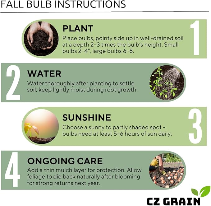 Complete Spring Flower Garden | 50 Fresh Bulbs | Bloom All Spring and Summer, Easy to Grow Flower Bulb, Indoor/Outdoor
