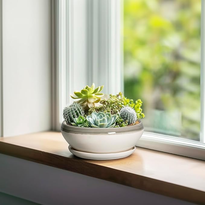SQOWL Succulent Planters - 6 Inch Ceramic Bonsai Pots, Shallow Planter with Drainage Hole and Saucer, Round Planter for Indoor Outdoor, Cactus Succulent Pots, Desk Decor, Garden Gifts, Gray-Beige