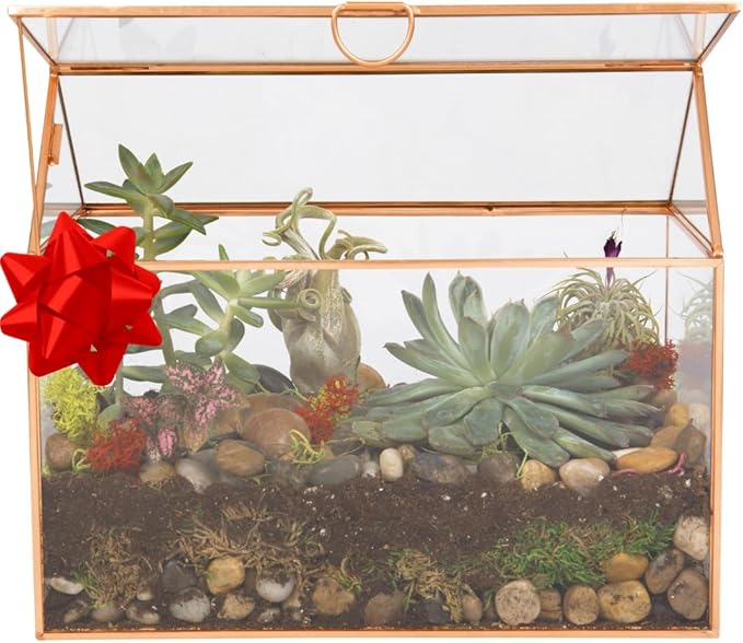 D'Eco Glass House Centerpiece (10"x6"x8") - Tabletop Planter Terrarium for Home Decor & Wedding Letterbox - Fill w/Succulents, Holiday Decorations, Mini Trees & Ornaments - Xmas Gift for Plant Lovers