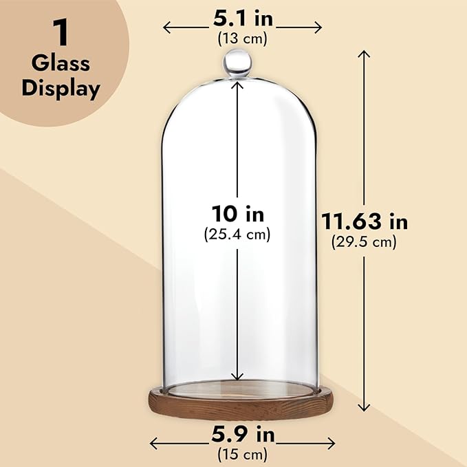 Farmlyn Creek Glass Dome Cloche Display Case - 5.1 x 5.1 x 10 in, Clear Dome & Wood Base - Cloche & Glass Cover - Succulent & Collectible Display