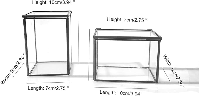 4 Inches Mini Glass Terrarium Set of 2 with Lid - Tiny Rectangle Glass Container Box for Succulents, Air Plants, Fairy Garden, Home Decor (10x7x6cm & 7x6x10cm)