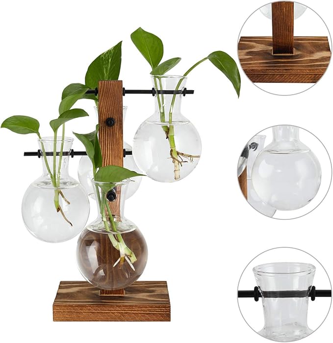PAG Planter Terrariums Kit Desktop Hydroponics Air Plant Holder with 4 Bulb Beaker Glass Vase and Solid Wood Stand, Home Office Decoration Gardening Gift for Women
