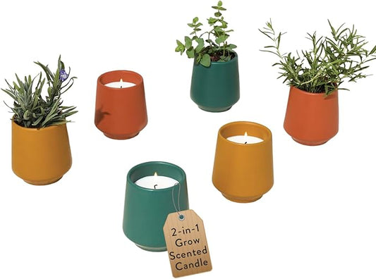 Modern Sprout Rooted Candle (Pack of 3) - 2 in 1 Scented Candles with Seeds That Grows into Plants - 6 oz Soy Candle with 42 hr Burn time in Matte Glaze Ceramic Vessel - Rosemary, Thyme, & Lavender