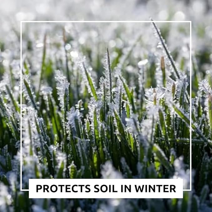 Over Winter Cover Crop Blend - Rye and Wheat Blend - Great for Adding Nutrients, Weed Supression and Building Soil (5 Pounds)