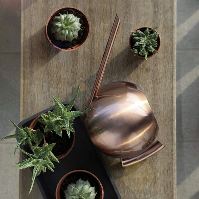 Watering Can, Stainless Steel Long Spout Watering Pot with Ergonomic Handle 1L for Indoor Outdoor Plants Flowers Succulents