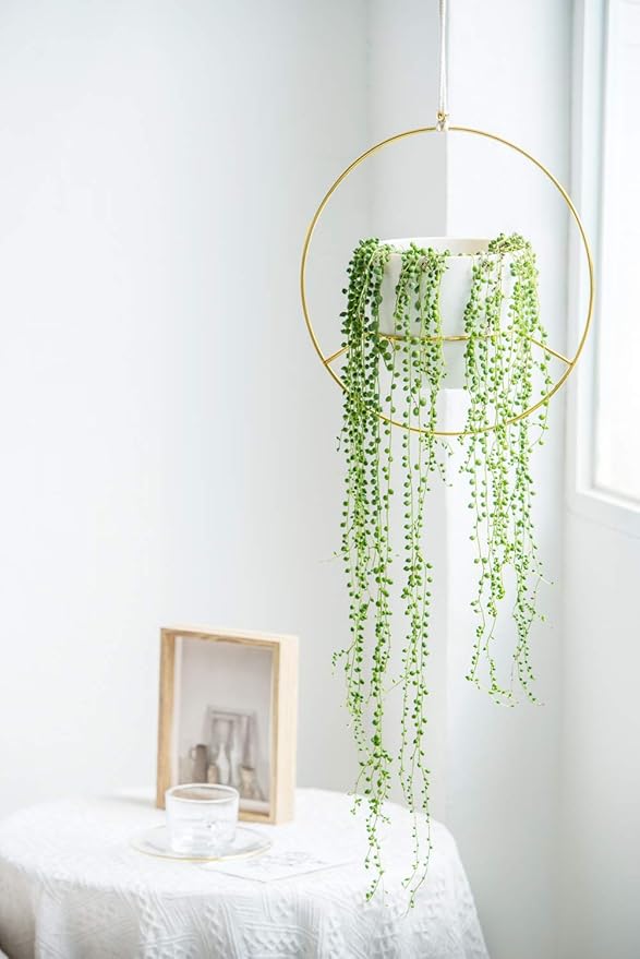 Mkono Metal Hanging Planters for Indoor Plants with Plastic Pots, Set of 2 Modern Mid Century Flower Pot Plant Holder in Diamond and Circle Shape, Fits 6 Inch, Gold