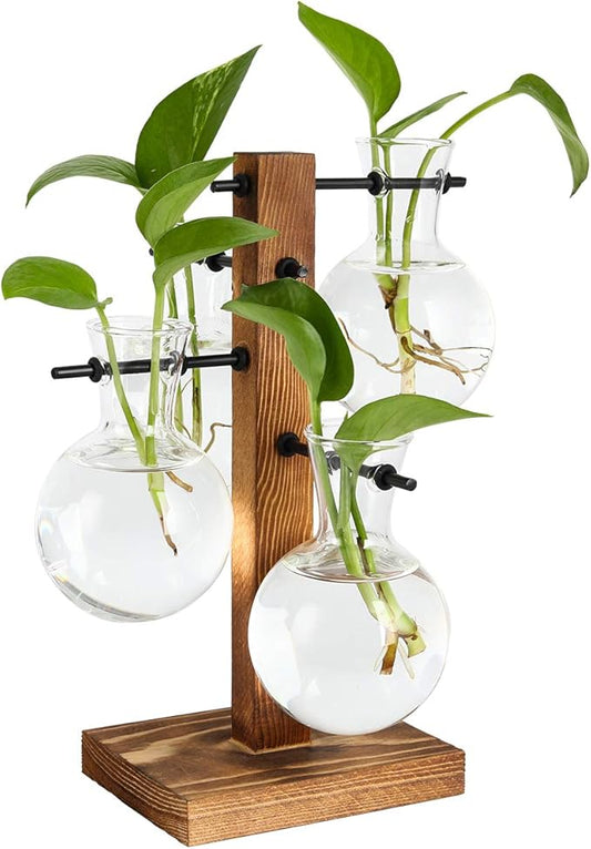 PAG Planter Terrariums Kit Desktop Hydroponics Air Plant Holder with 4 Bulb Beaker Glass Vase and Solid Wood Stand, Home Office Decoration Gardening Gift for Women