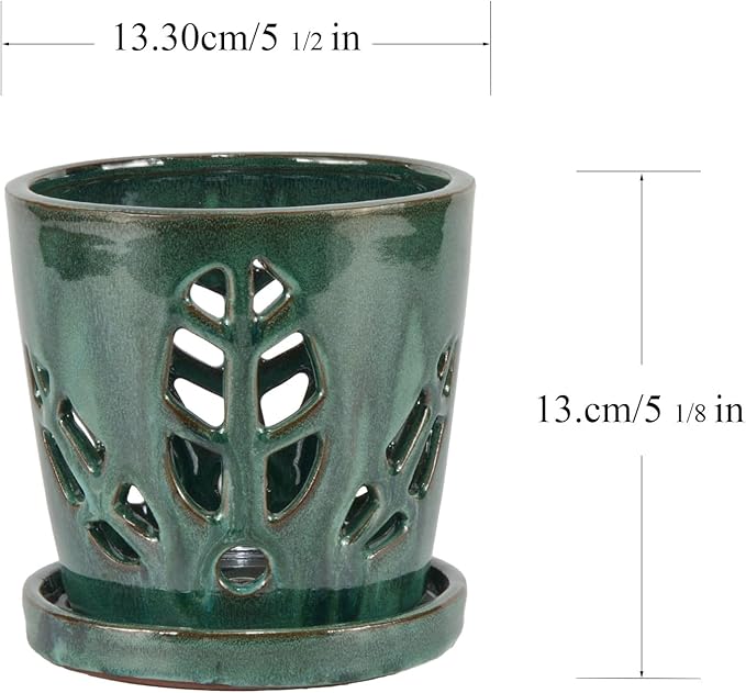 W&W Orchid Pot with Holes and Saucer for Repotting, 5.5 Inches, Grenn Mix
