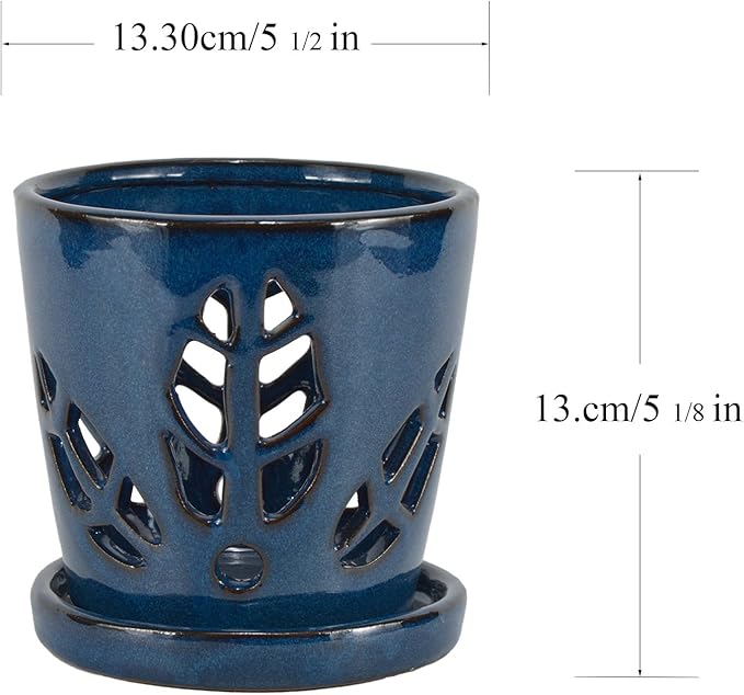 W&W Orchid Pot with Holes and Saucer for Repotting, 5.5 Inches, Blue